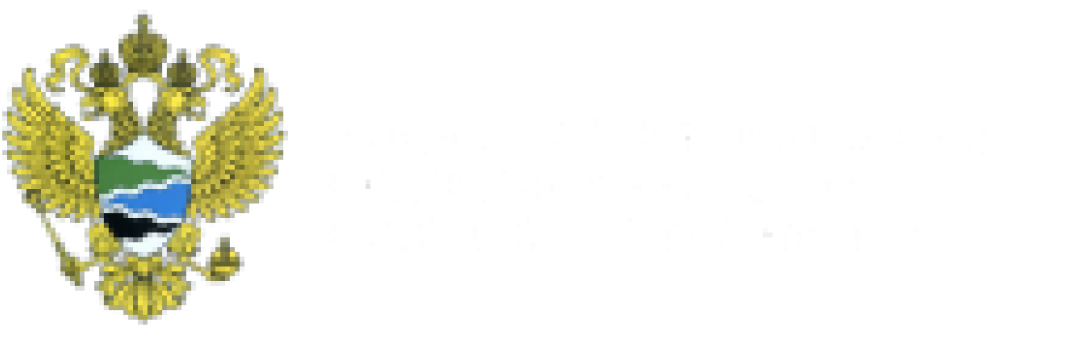 Министерство природных ресурсов и экологии Российской Федерации